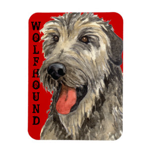 Irish Wolfhound Farbblock Magnet
