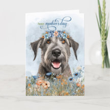 Irish Wolfhound Hund Wildblumen Muttertag
