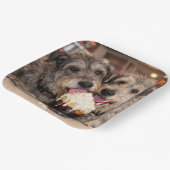Irish Wolfhound Hunde genießen ein Root Beer Float Pappteller (Gewinkelt)
