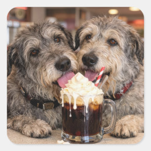 Irish Wolfhound Hunde genießen ein Root Beer Float Quadratischer Aufkleber