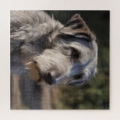 Irish Wolfhound ich bin nicht erstaunt, Puzzle (Horizontal)