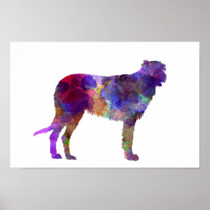 Irish Wolfhound in Aquarell Poster