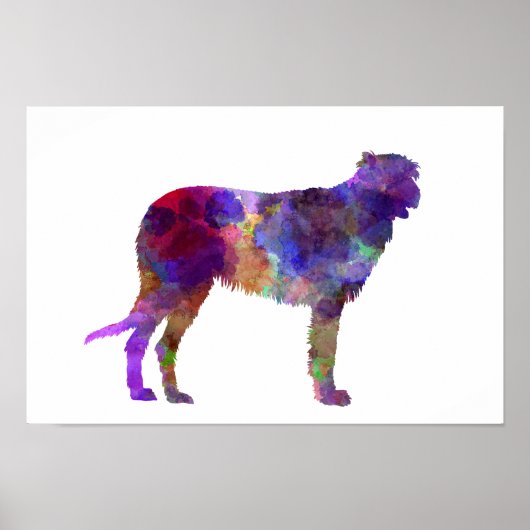 Irish Wolfhound in Aquarell Poster (Vorne)