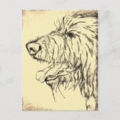 Irish Wolfhound Looking Pleascarte Postkarte (Vorderseite)