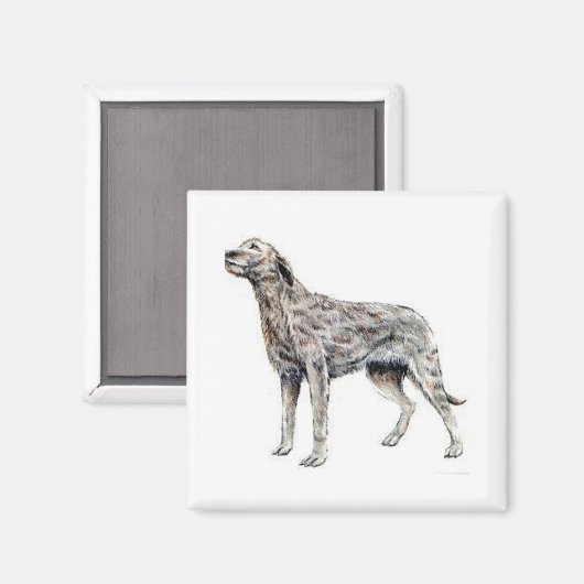 Irish Wolfhound Magnet (Vorderseite/Rückseite)