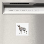 Irish Wolfhound Magnet (In Situ (Geschirrspüler))
