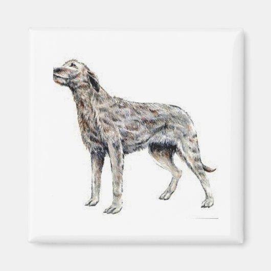 Irish Wolfhound Magnet (Vorne)