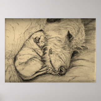 Irish Wolfhound Mother and Puppy Poster