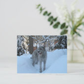 Irish Wolfhound Postkarte (Stehend Vorderseite)