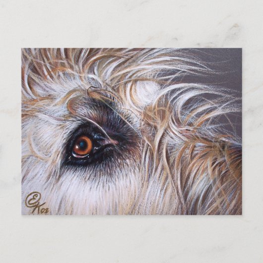 Irish Wolfhound Postkarte (Vorderseite)