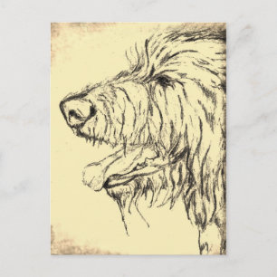 Irish Wolfhound Postkarte mit zufriedenem Blick
