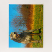 Irish Wolfhound. Puzzle (Vertikal)