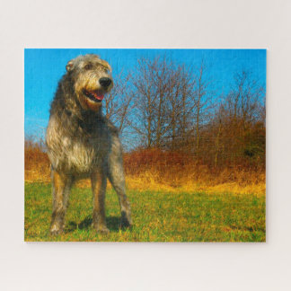 Irish Wolfhound. Puzzle
