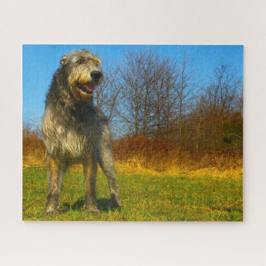 Irish Wolfhound. Puzzle (Horizontal)