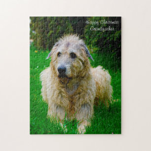 Irish Wolfhound. Puzzle