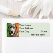 Irish Wolfhound Rücksendeadresse (Insitu)