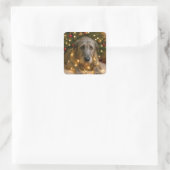 Irish Wolfhound Tangled In Holiday Lights Quadratischer Aufkleber (Tasche)