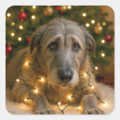 Irish Wolfhound Tangled In Holiday Lights Quadratischer Aufkleber (Vorderseite)
