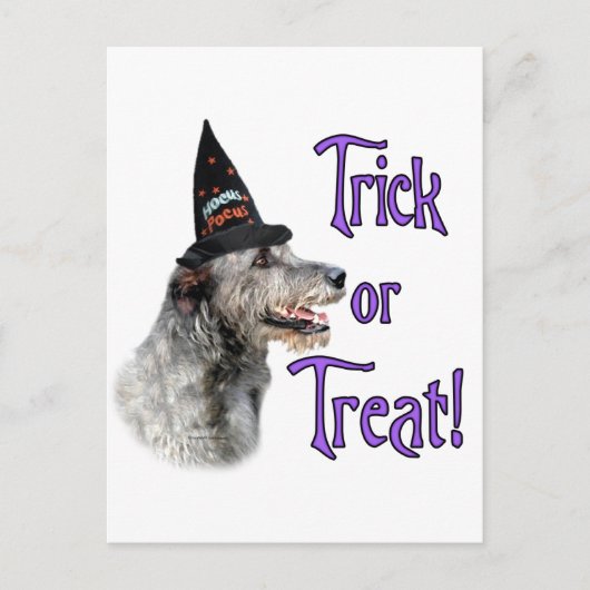 Irish Wolfhound Trick Postkarte (Vorderseite)