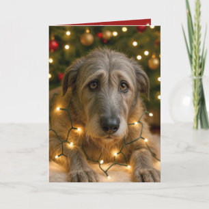 Irish Wolfhound verheddert in Weihnachtsbeleuchtun Karte