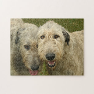 Irish Wolfhounds Foto Puzzle