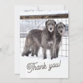 Irish Wolfhounds in Snow Einladung (Vorderseite)