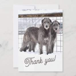 Irish Wolfhounds in Snow Einladung