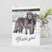 Irish Wolfhounds in Snow Einladung (Stehend Vorderseite)