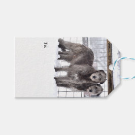 Irish Wolfhounds in Snow Geschenkanhänger