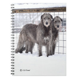 Irish Wolfhounds in Snow Notizblock