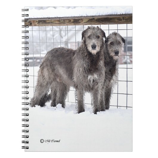 Irish Wolfhounds in Snow Notizblock (Vorderseite)