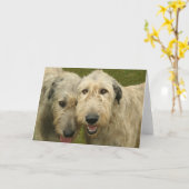 Irish Wolfhounds Karte (Gelbe Blume)