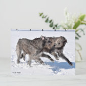 Irish Wolfhounds rennen in Snow Einladung (Stehend Vorderseite)