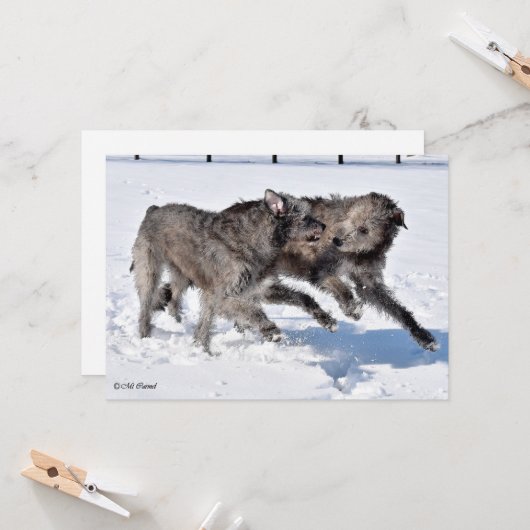 Irish Wolfhounds rennen in Snow Einladung (Vorderseite/Rückseite Beispiel)