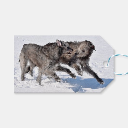 Irish Wolfhounds rennen in Snow Geschenkanhänger (Vorderseite (Horizontal))