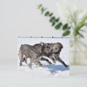 Irish Wolfhounds rennen in Snow Postkarte (Stehend Vorderseite)