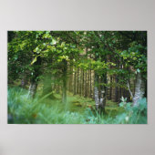 Irish Wood Poster (Vorne)