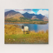 Irish Wooly Sheep Galway Irland. Jigsaw Puzzle (Horizontal)