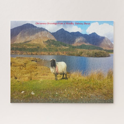 Irish Wooly Sheep Galway Irland. Jigsaw Puzzle (Horizontal)