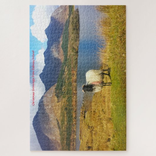 Irish Wooly Sheep Galway Irland. Jigsaw Puzzle (Vertikal)