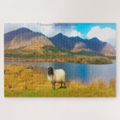Irish Wooly Sheep Galway Irland. Jigsaw Puzzle (Horizontal)