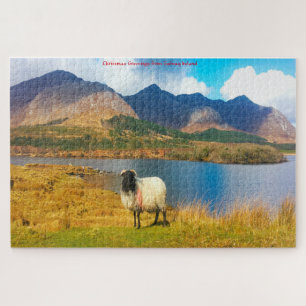 Irish Wooly Sheep Galway Irland. Jigsaw Puzzle