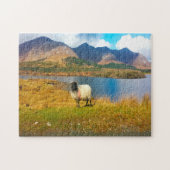 Irish Wooly Sheep Galway Irland. Puzzle (Horizontal)
