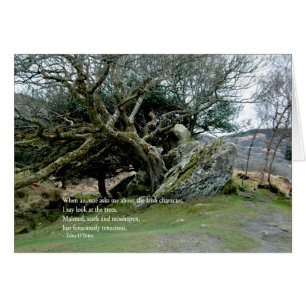IrishTrees