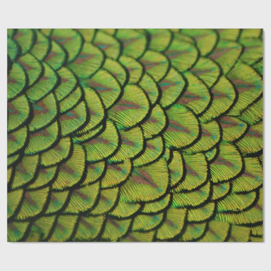 Irisierende Gelbe Pfauenfresser Schwanz Feathers Geschenkpapier (Flach)