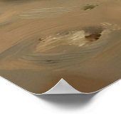 Irisierende Muschel-Stillleben  Poster (Ecke)