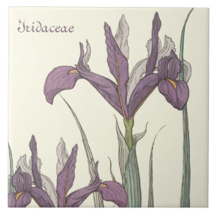 Irisspitze Fliese