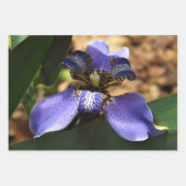 Irisverpackungspapier Geschenkpapier Set (Vorderseite 2)