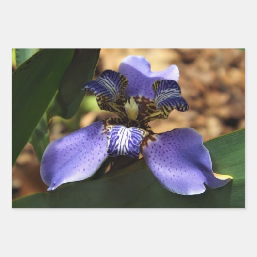 Irisverpackungspapier Geschenkpapier Set (Vorderseite 2)