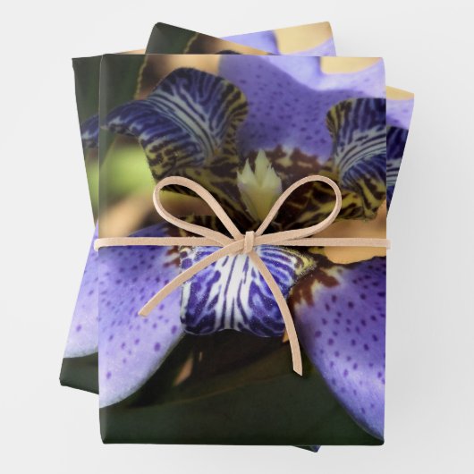 Irisverpackungspapier Geschenkpapier Set (Beispiel)